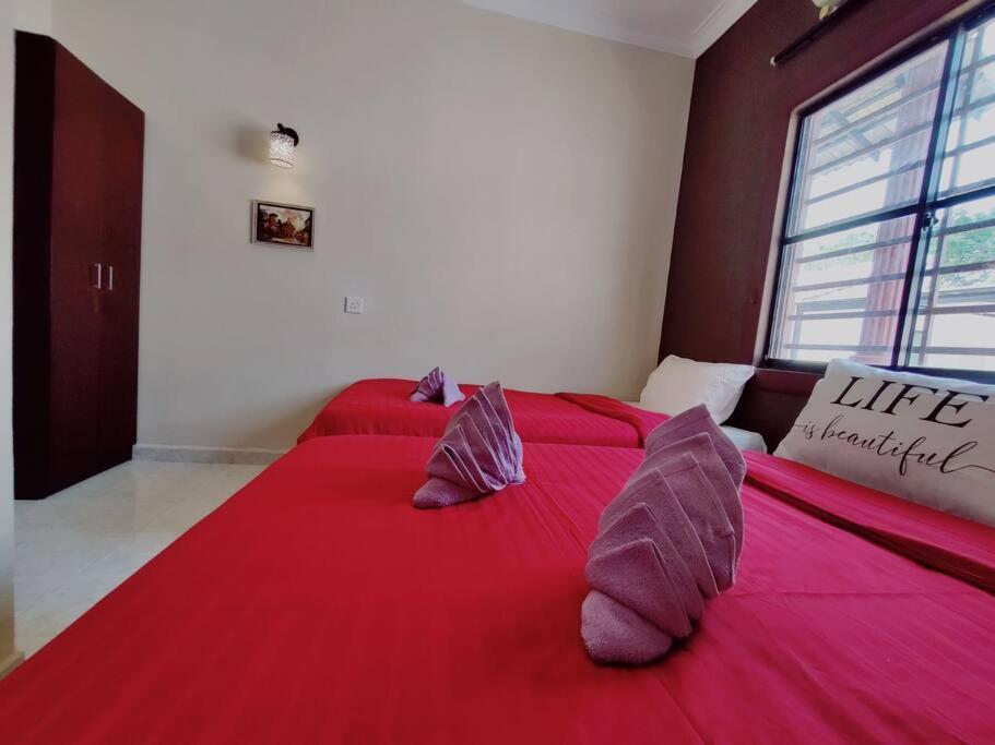 Auro-Villa 1237 With Private Zen Pool ألور غاجا المظهر الخارجي الصورة